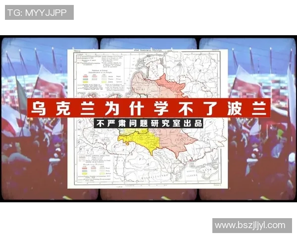 乌克兰与波兰比赛主裁判的执法表现与争议分析